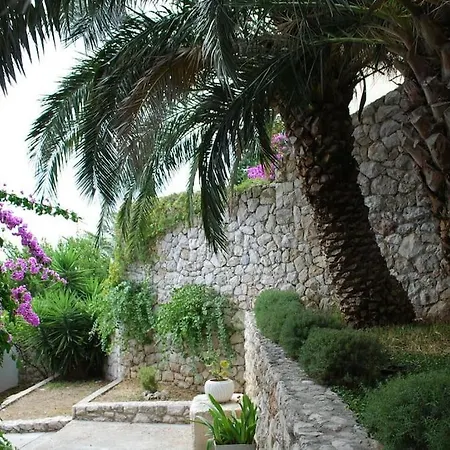 Seaview Apt. With Private Terrace Apartment *