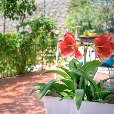 Seaview Apt. With Private Terrace Apartment *