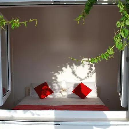 Seaview Apt. With Private Terrace Apartment Hvar Town