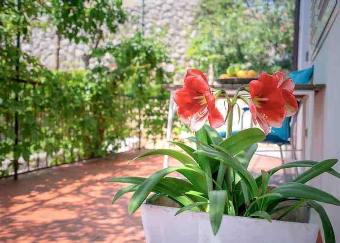 Seaview Apt. With Private Terrace Apartman *